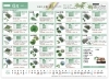 「6月の飾り葉のご案内＊初夏の彩りに青もみじやほお葉をどうぞ【食品卸業＊業務用食品＊観音寺市】」