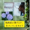 梅雨前のおもだるさ「梅雨前の「重だるさ」に気づく」