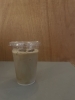 アイスカフェラテ登場「珈琲豆屋のアイスカフェラテをご賞味あれ！！」