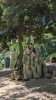 歩こう～♪　あるこう～♬「🥾 初夏に向けてのハイキング「里見公園」 🥾　★英会話と体操のコラボ教室（堀切、お花茶屋、綾瀬、亀有、小菅）」