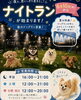「夏は涼しく楽しもう！ナイトラン営業スタート」
