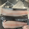 本日の鮮魚、仕込み中です