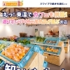 東温の魅力をぎゅっと満喫！東温市さくらの湯観光物産センターの楽しみ方