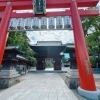 椿神社へ参拝して会社の運気アップを祈願してきました⛩️