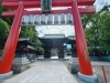 厳かで歴史感じる鳥居と境内「椿神社へ参拝して会社の運気アップを祈願してきました⛩️」