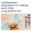 砂糖は腸で酒に変わる？