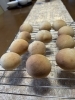 焼きたての香りが広がる癒しの空間「水無月」