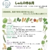 ６月「しゅんの市」のお知らせ