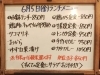 「6/5(金)の小鉢ランチ」
