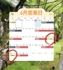 「6月の営業日・イベント出店のお知らせ」