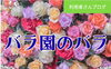 「バラ園月曜日と金曜日バラ園で、初めて、バラ園に、行った時は、熱いさのときで、草抜きをしてました。」