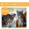 無事再会できました！【新居浜市坂井町2丁目付近で迷子になったひなちゃんは6月4日に無事家族と再会できました！】