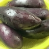 本日の日替わりランチは麻婆茄子定食です