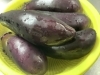 「本日の日替わりランチは麻婆茄子定食です」