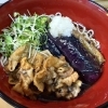 数量限定ランチ！『肉茄子揚げ浸しと薬味蕎麦』