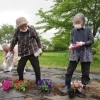 みんなで花植え🌼色とりどりの花壇づくり【富士見・原村の福祉施設ひなたぼっこ】