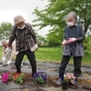 みんなで花植え🌼色とりどりの花壇づくり【富士見・原村の福祉施設ひなたぼっこ】