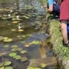 📢イベント予約ページをオープンしました！✨【かすみがうら市水族館で体験学習】