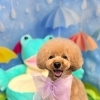 6月のフォトセットでトリミング後をパチリ📸