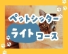 「【人見知り猫ちゃん専用】他人が来ると隠れちゃう子へ。あえて“かまわない”「ライトコース」のご紹介」