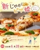 「【西条・新居浜・四国中央市で婚活するならしあわせたまご】6月イベント情報！」