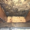 羽アリがきっかけの8畳和室リフォーム事例のご紹介