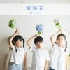 紫陽花撮影会2026