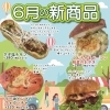 ６月の新商品フェア✨✨