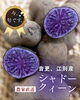 「シリーズ『いま、旬です。』 vol.9　音更・江別産 シャドークィーン」
