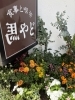 「花壇の花を植え替えました!!【横須賀にある　喫茶店　食事と喫茶 馬やど】」