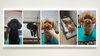 「🐕トリミングの様子をちらり👀💕【長野県木曽郡木曽町で小型〜中型犬対応のドッグサロン・ペットホテルならプリールへ】」