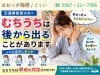 「【交通事故】むちうちは何日後に出る？放置してはいけないサインとは【江南市/扶桑町/各務原市/犬山市/整骨院/接骨院/整体/交通事故治療/保険治療/交通事故/自賠責/自賠責保険/費用負担０円/各種保険取扱い】」