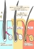 毛穴の様子「やりがちな頭皮ケア3選」