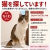 まいぷれ吉野川市・阿波市お助け情報部よりお知らせ ＼迷子猫探し／