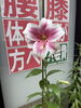2,026．最初の百合「ゆり🌸」