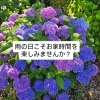 雨の日こそ、お部屋を整えるチャンス❗お家時間を楽しみませんか？　和歌山市お片付け　整理収納サポート　暮らし整えサポート　引っ越し整理サポート　生前・遺品整理サポート