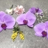 大切な想い出のお花を残すことができます♡【ボトルフラワー/宮崎ドライフラワー/生花保存/生花加工】