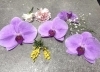 「大切な想い出のお花を残すことができます♡【ボトルフラワー/宮崎ドライフラワー/生花保存/生花加工】」