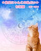 weekly運勢で良い一週間に✨「🌟 杉並区版☆12星座占い 🌟 まいぷれ☆星見にゃんこ 🌟 6/8〜6/14」