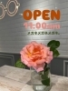 「おはようございます！🌺」