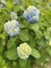 「J's craft cafe です」