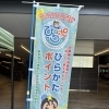 本日は