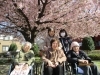お花見レク「お花見🌸✨」