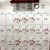 2026.6月予定