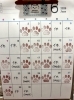 2026.6月予定「2026.6月予定」
