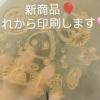 ぎゃー！かわいくできたよ！！！😆海の生き物シリーズが仲間入り！イベント・記念品にぴったりのオリジナル名入れ風船を印刷中‼️【企業＆お店のオリジナル名入れ風船😊カツラテ🎈】