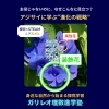 【アジサイはなぜ目立つ？】装飾花と両性花の役割分担を解説｜八王子めじろ台の個別指導『ガリレオ理数進学塾』