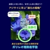 【アジサイはなぜ目立つ？】装飾花と両性花の役割分担を解説｜八王子めじろ台の個別指導『ガリレオ理数進学塾』
