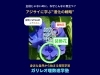 アジサイの装飾花と両性花の構造。花びらに見える萼の役割を進化とSTEAMの視点で学ぶ図解。「【アジサイはなぜ目立つ？】装飾花と両性花の役割分担を解説｜八王子めじろ台の個別指導『ガリレオ理数進学塾』」