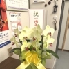 6月と言えば